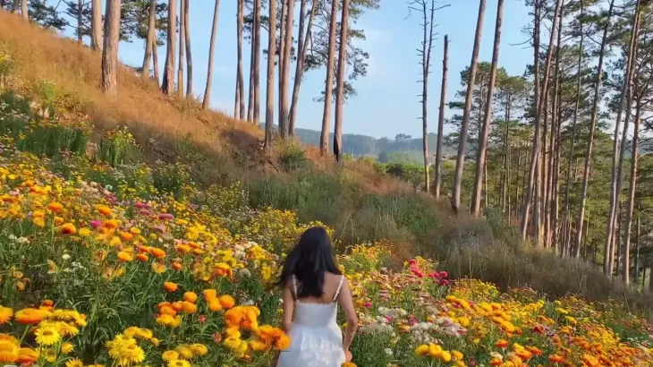 Rung Cuc Bat Tu Da Lat 2