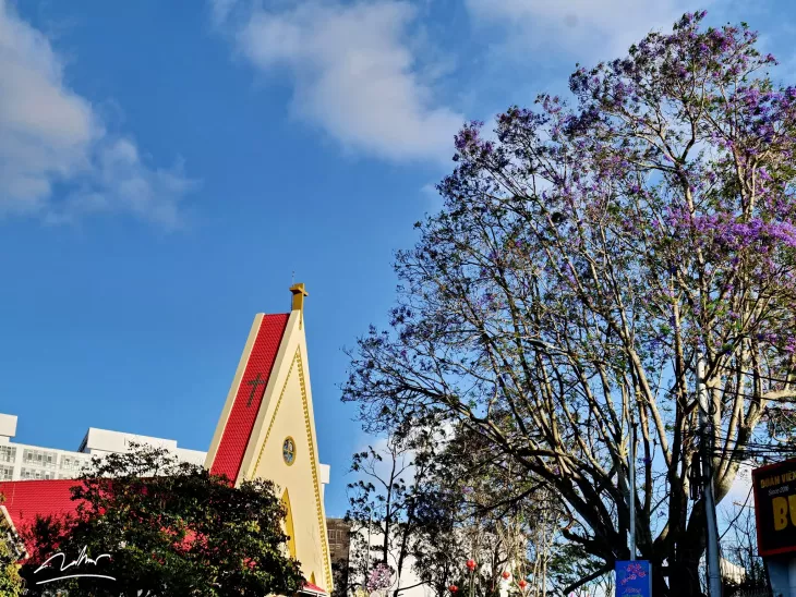 Phuong Tim Da Lat 2024 2