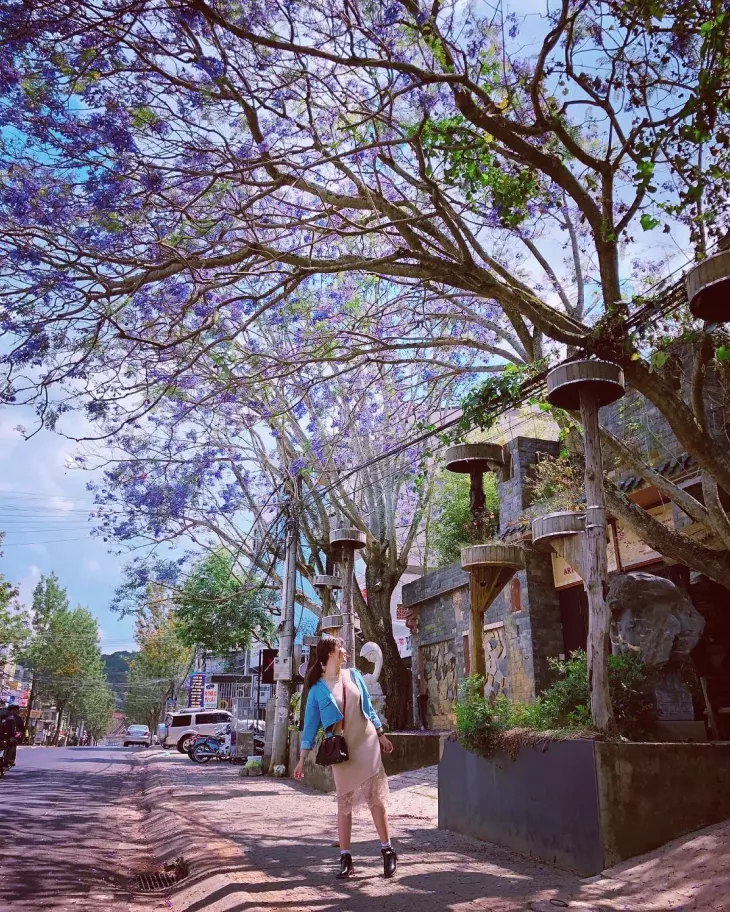 Phuong Tim Duong Tran Phu