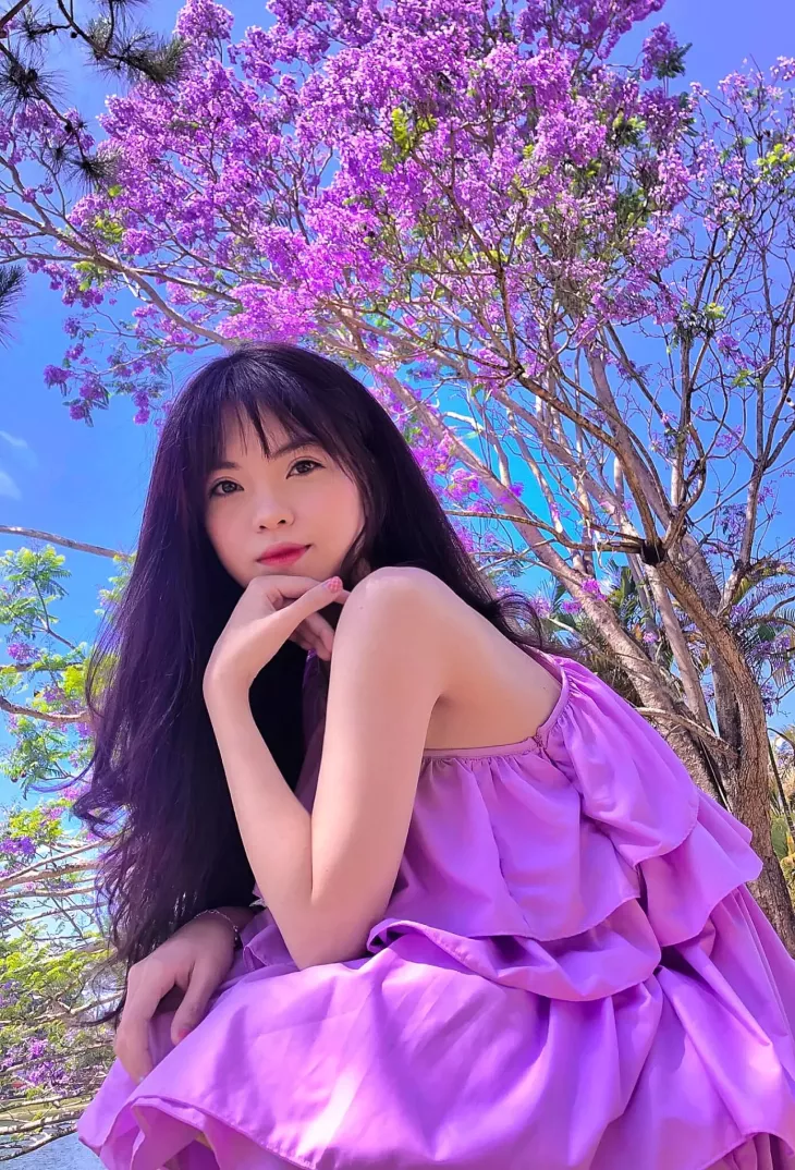 Phuong Tim Ho Xuan Huong