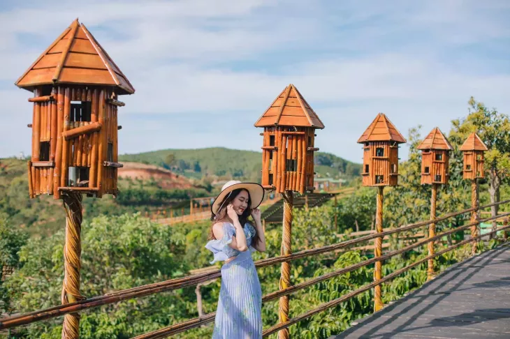 Hoa Bo Da Lat Me Linh Cafe