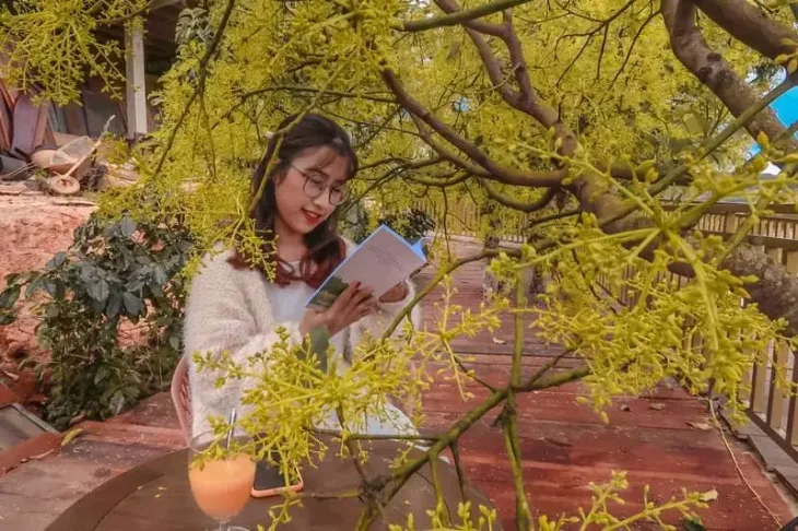 Kinh Nghiem Chup Anh Voi Hoa Bo