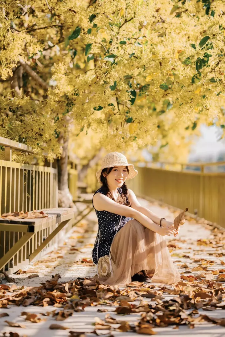 Mua Hoa Bo Da Lat 2024