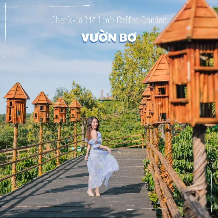 Vuon Bo Da Lat Me Linh Cafe