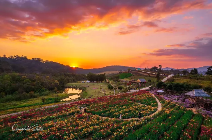 Caption Hay Ve Da Lat Hoang Hon