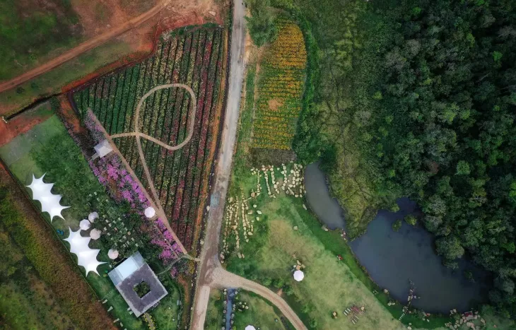 The Florest Tu Tren Cao