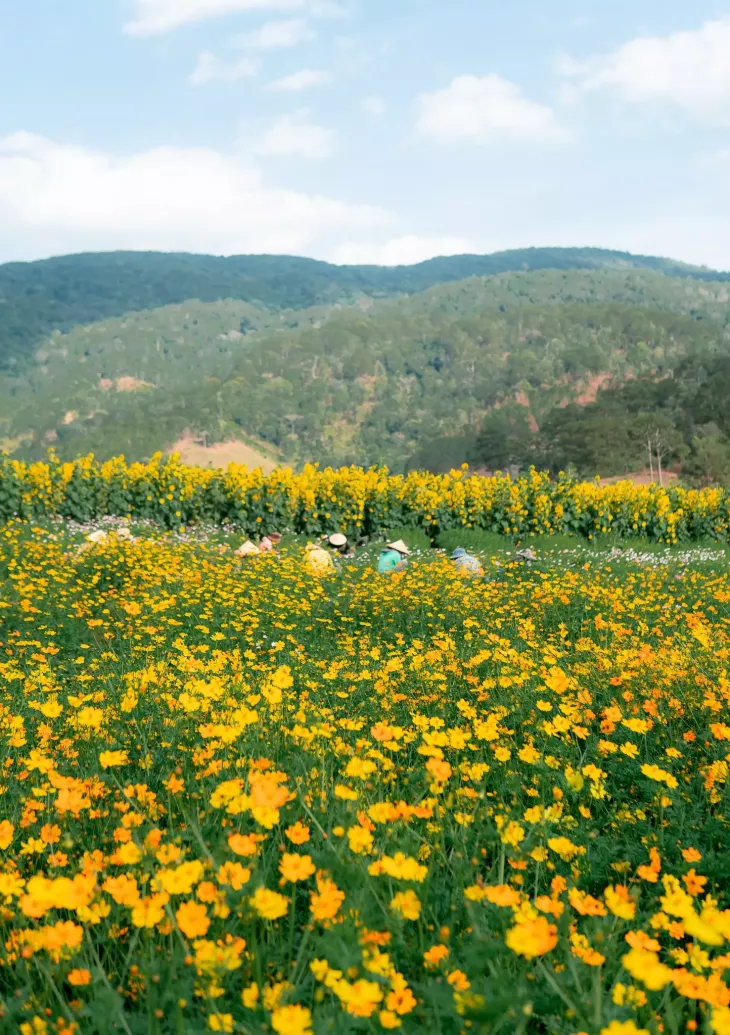 8 Thang 3 O Da Lat Di Dau