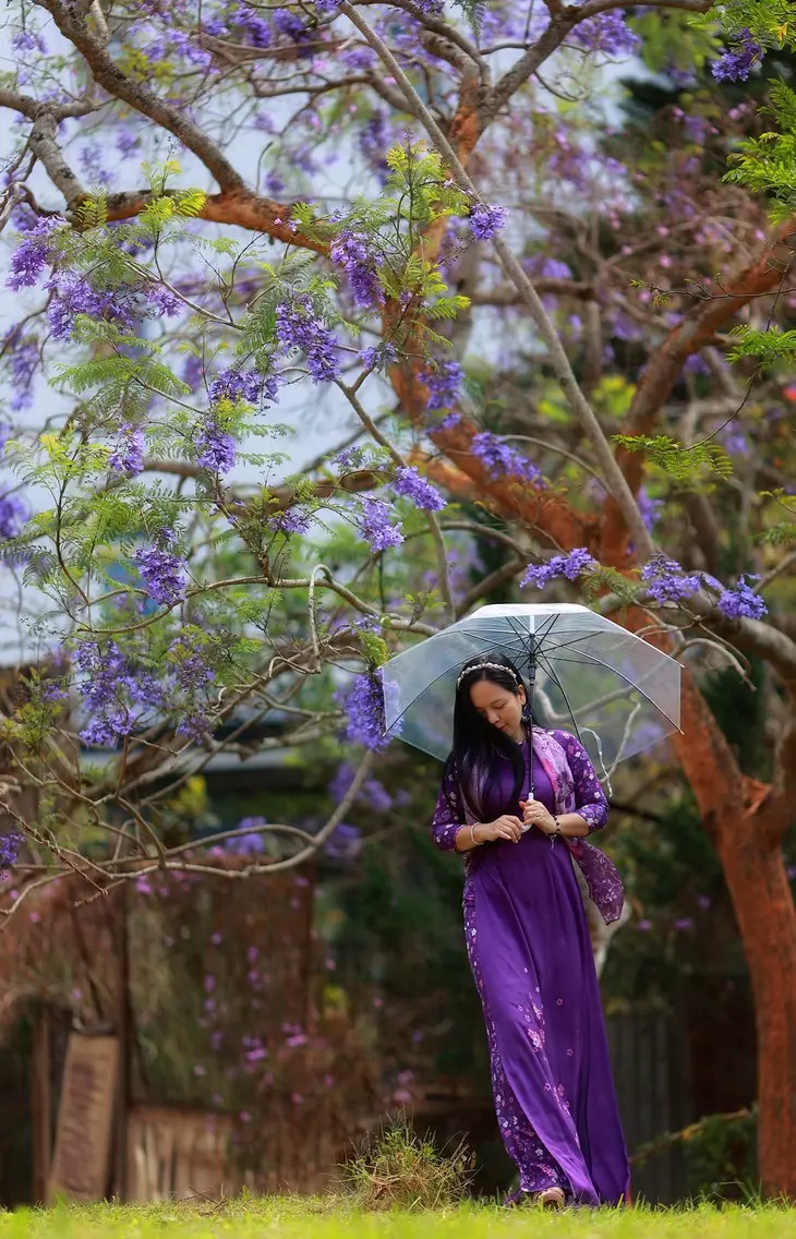 Ngam Phuong Tim Thang 3