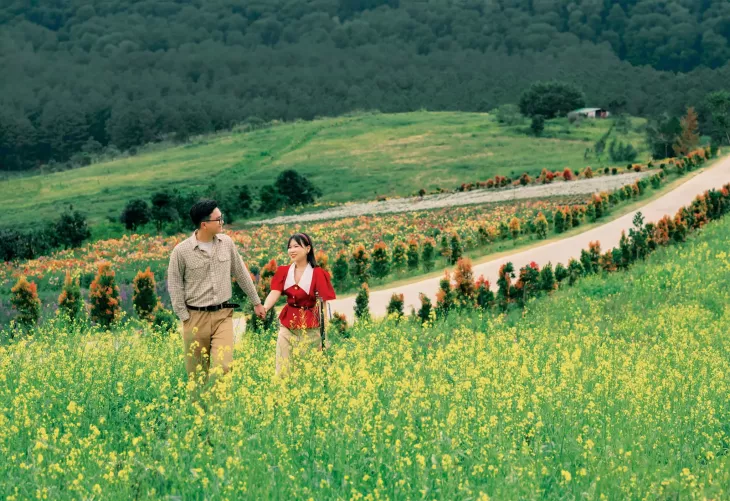 Mua Hoa Cai The Florest