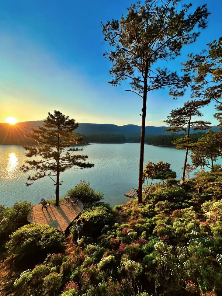 Doi Cuc Hoa Mi Happy Hill