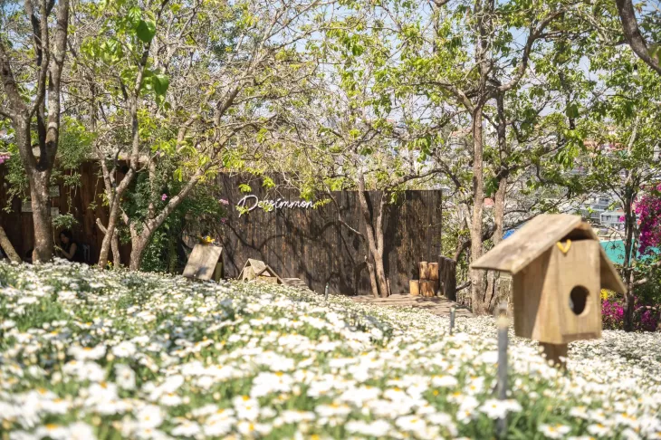 Vuon Cuc Hoa Mi Persimmon Cafe