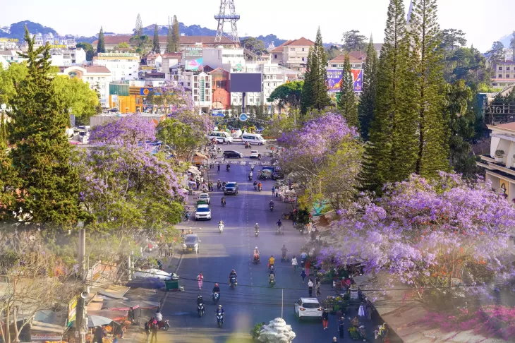 Phuong Tim Tu Noc Cho Da Lat