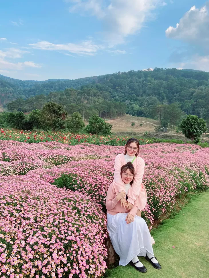 Vuon Hoa Cuc Hoa Mi Da Lat