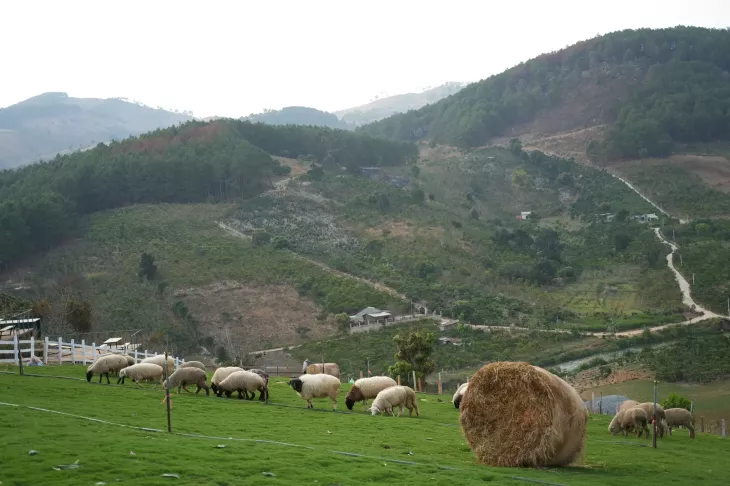 Chika Farm