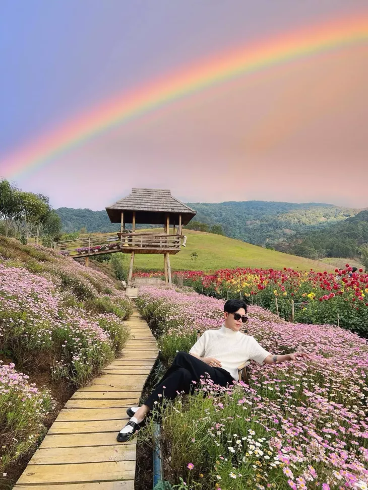 Binh Minh Da Lat O Vuon Hoa The Florest