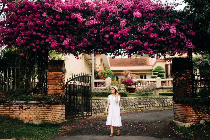 Gian Hoa Giay O Biet Thu Nguyen Viet Xuan