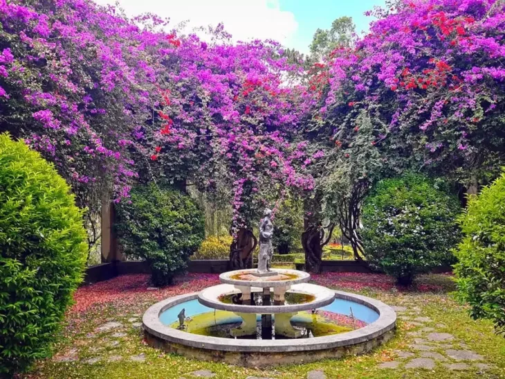 Hoa Giay Dinh Ii Bao Dai