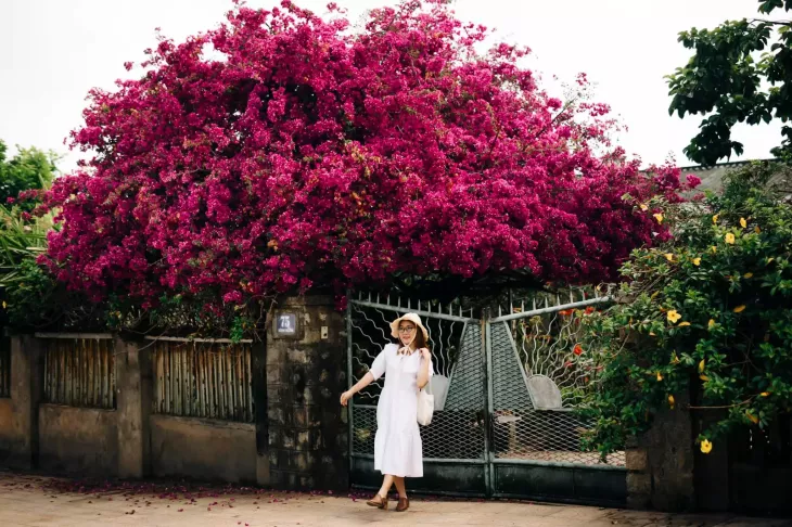 Hoa Giay Duong Hung Vuong