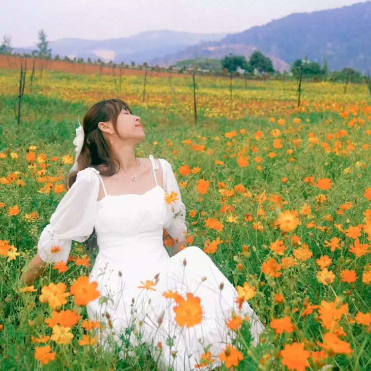 Hoa Canh Buom The Florest 2