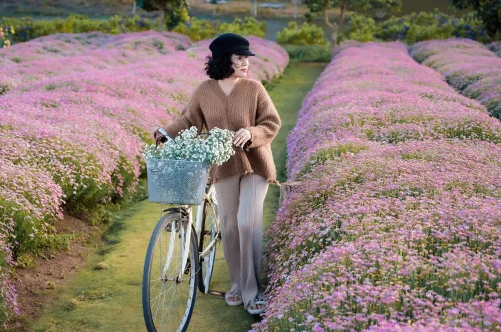 Vuon Cuc Hoa Mi The Florest