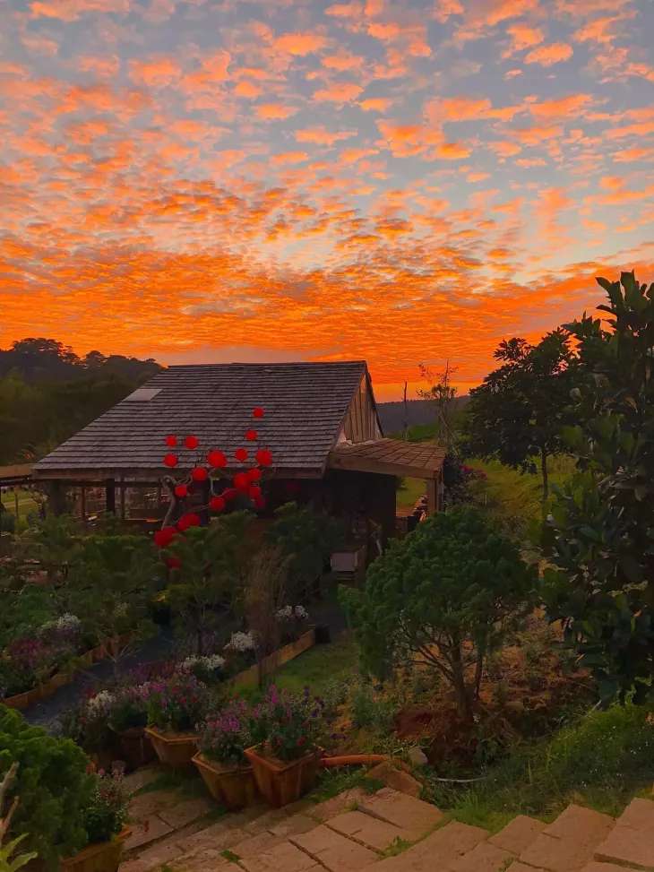 Hoang Hon Da Lat The Florest