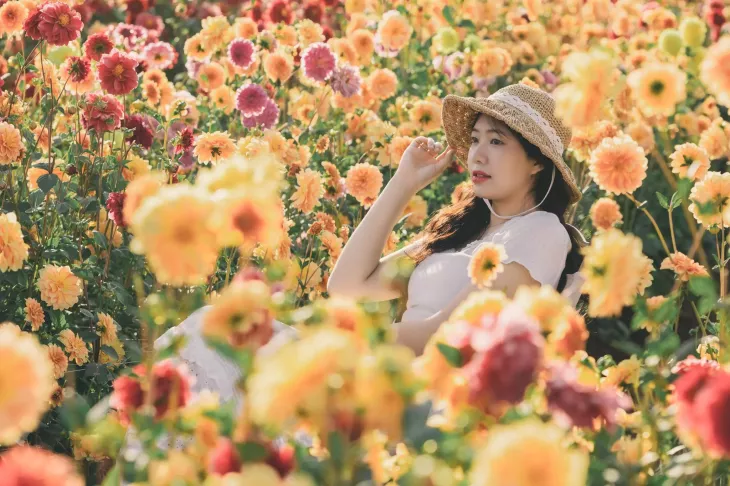 Chup Anh Voi Vuon Hoa Thuoc Duoc