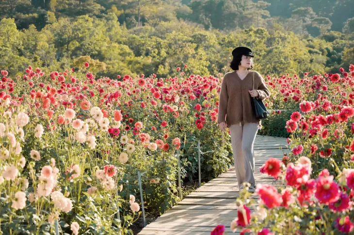 Chup Hinh Cung Hoa Thuoc Duoc