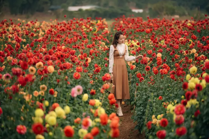 Vuon Hoa Thuoc Duoc Da Lat Dep