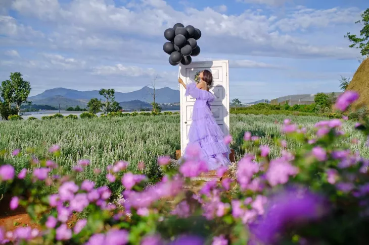 Chup Anh Cung Lavender Da Lat 2