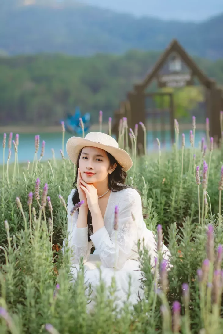 Chup Anh Cung Lavender Da Lat