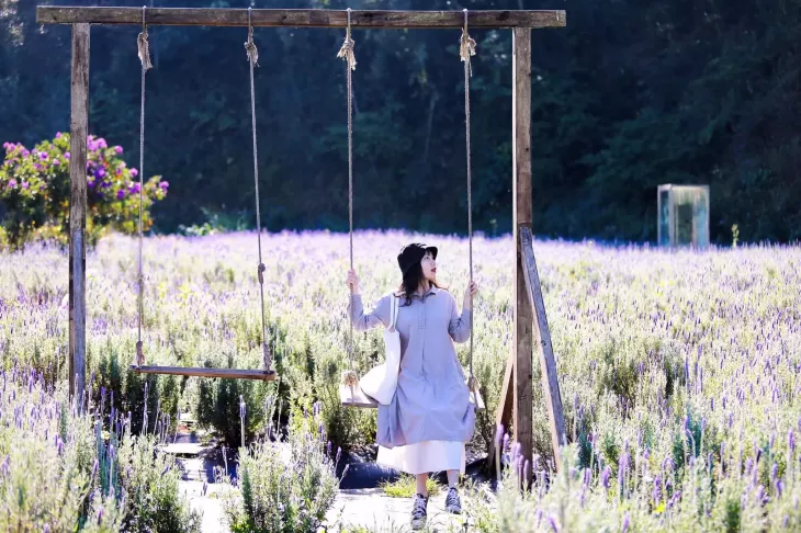 Lavender Tui Thuong Nho 2