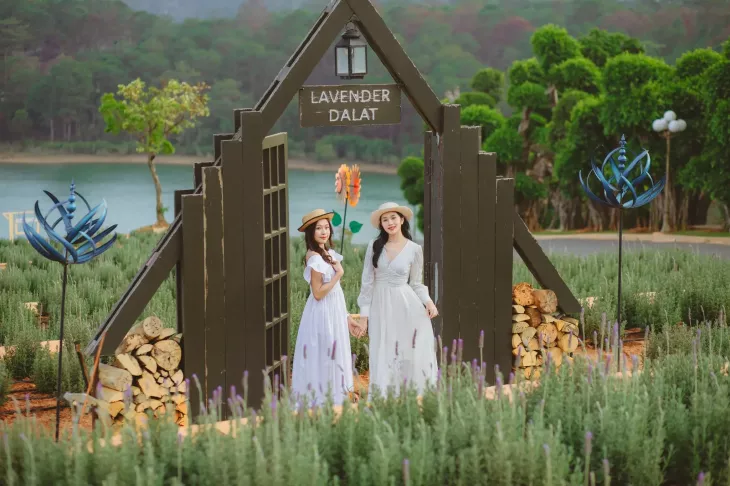 Vuon Hoa Lavender Dalat 1