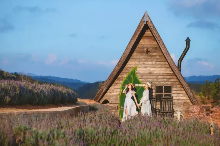 Vuon Hoa Lavender Dalat 2