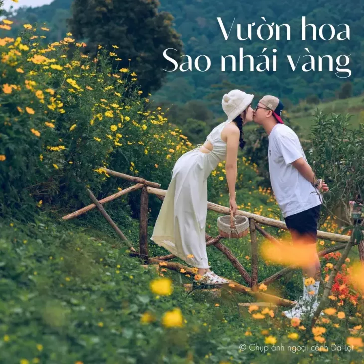 Hoa Canh Buom Ben Cau