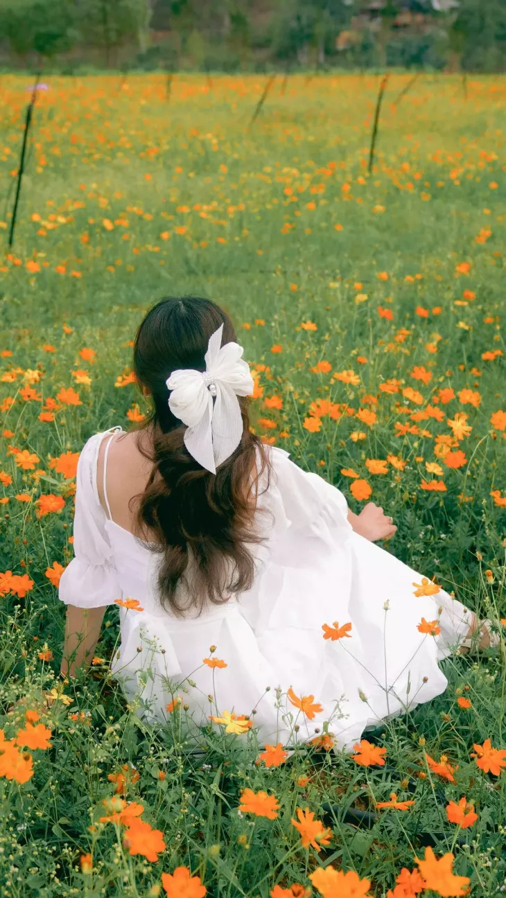 Hoa Canh Buom The Florest 4