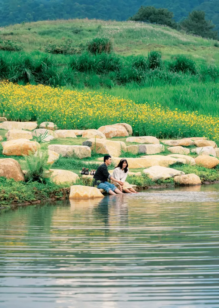 Hoa Canh Buom Ven Ho