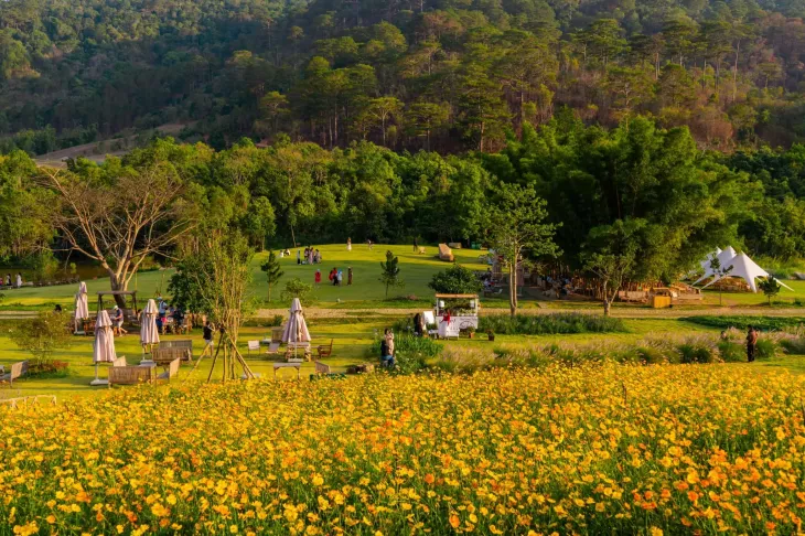 Vuon Hoa Canh Buom Da Lat