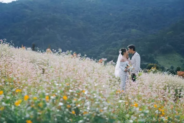 Vườn hoa tam giác mạch tháng 5 ở Đà Lạt tại The Florest - Hoa trong rừng