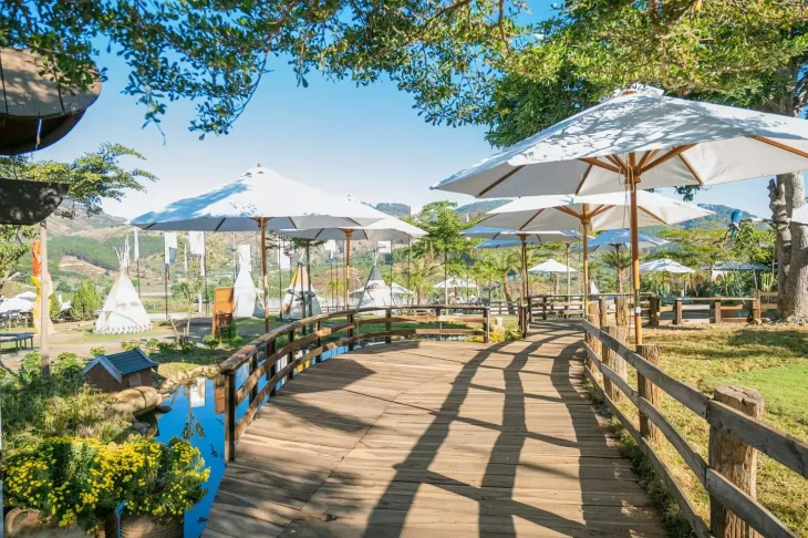 Lối vào Mongo Land