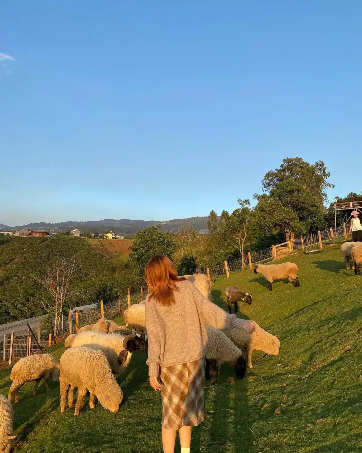 Chika Farm Da Lat Moi
