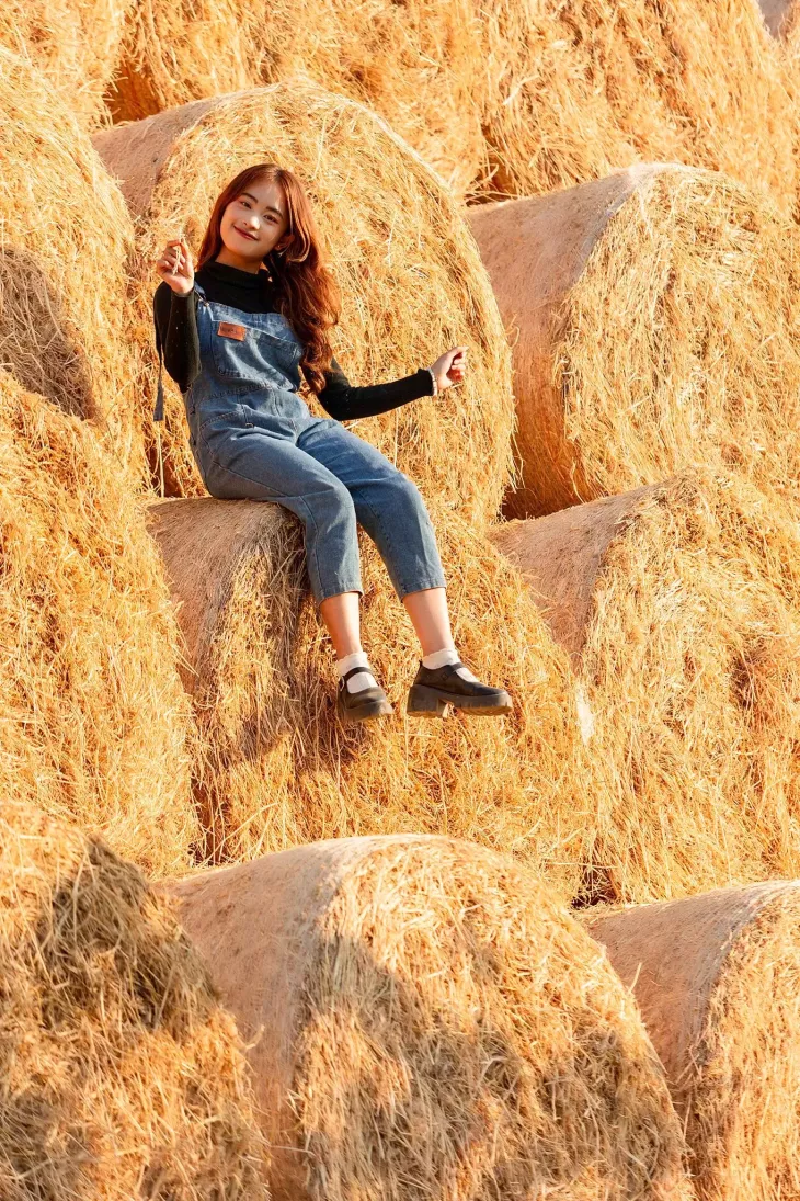 Dong Rom Tai Chika Farm Da Lat 2024