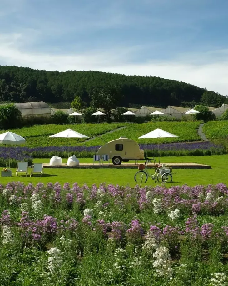 Hoa May Garden Da Lat