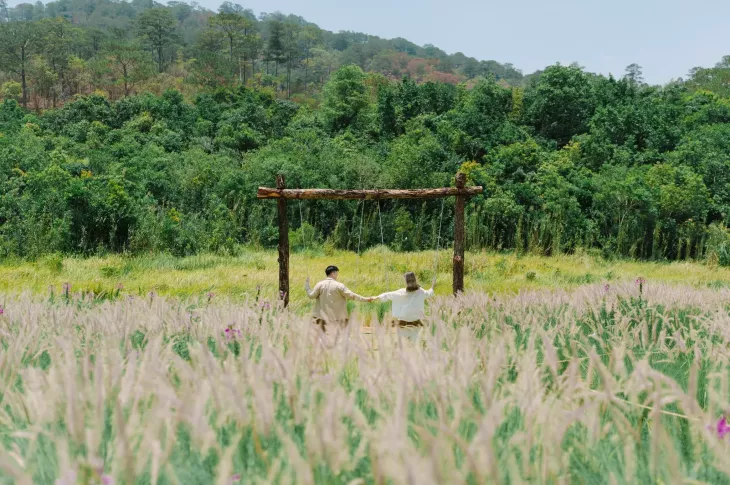 Vườn hoa cỏ lau tại The Florest