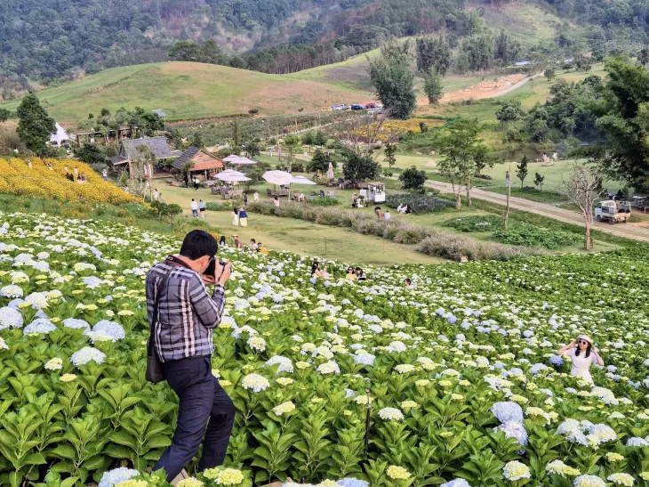 du lịch đà lạt 30-4-2024