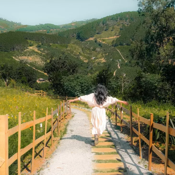 Đường đi vào Mường Hoa Garden