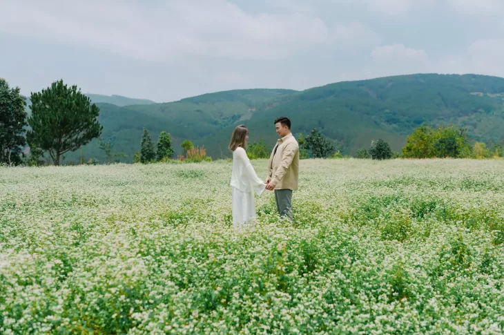 Vườn hoa tam giác mạch tại The Florest