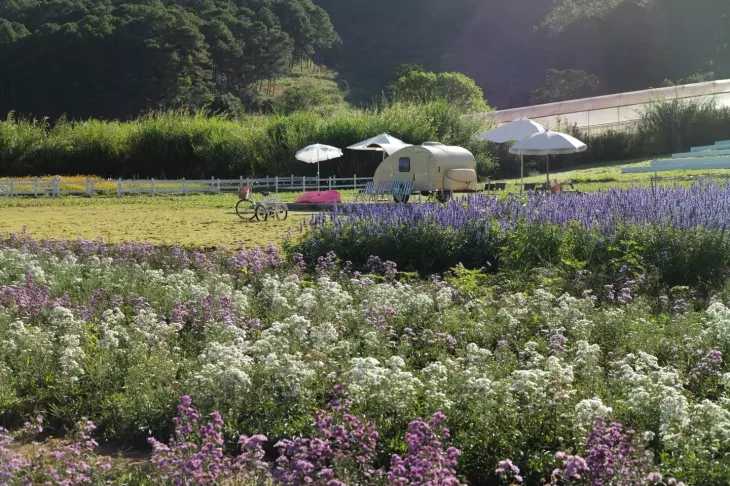 Vườn hoa tại Hoa May Garden