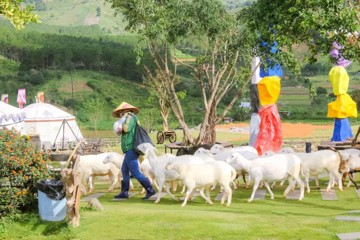 Vườn thú cưng tại Mongo Land