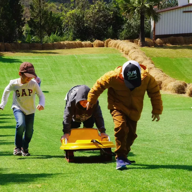 Trượt cỏ tại Mongo Land