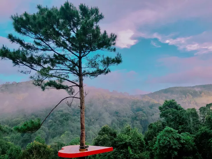 Cây thông cô đơn tại Hoa Điền Sơn Trang Đà Lạt